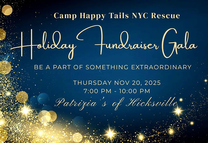 Camp Happy Tails Holiday Fundraiser 2025
